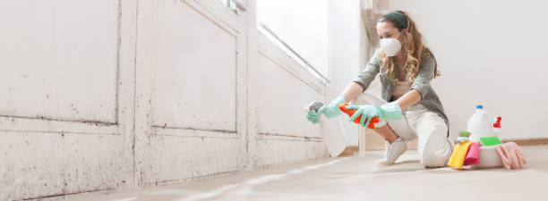 Mold Odor Removal Services